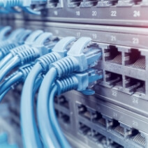 ネットワーク機器のポートに差し込まれた複数の青いLANケーブル